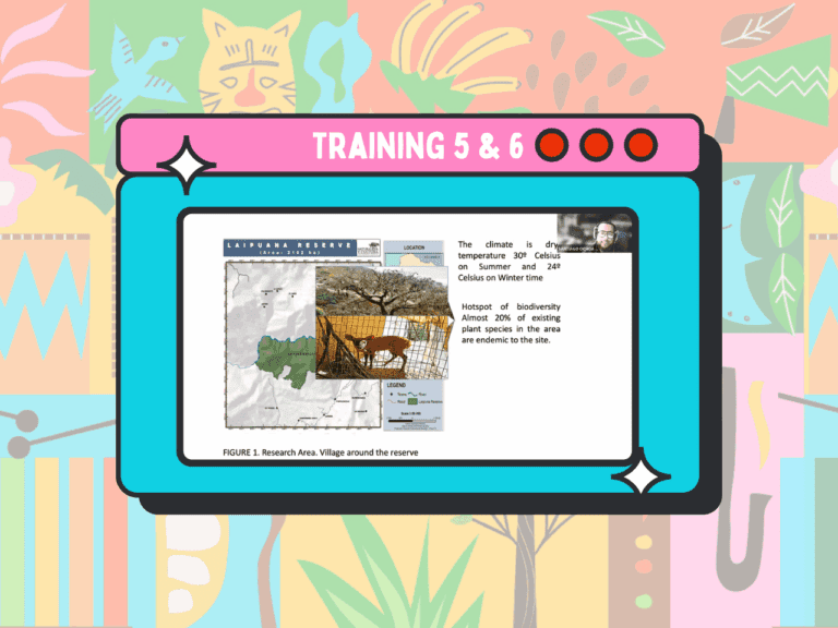 Training 5 & 6 resources