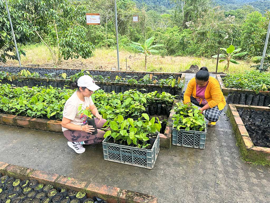 ZUMBI RESILIENTE - AGUA PAR LA VIDA​ - UNESCO Amazon Water Resilience Challenge – Ecuador 2025